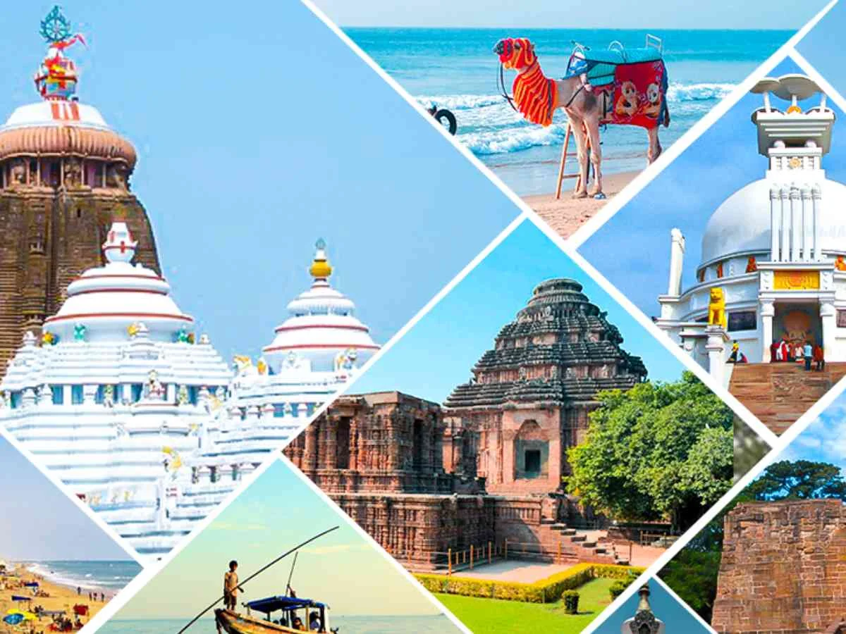 Puri Konark Bhubaneswar Chilika Tour